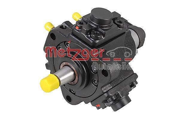 Pompe à haute pression METZGER 0830112